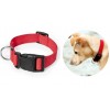Hundehalsband mit Logo bedruckt ab geringe Stückzahlen