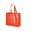 Tasche laminiert aus Non Woven günstig mit Logo bedruckt