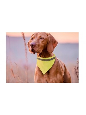 Hundehalsband mit reflektierenden Halstuch