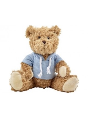 Teddybär mit Shirt bedruckt