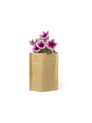 Blumen-Samen in recycelter Tüte