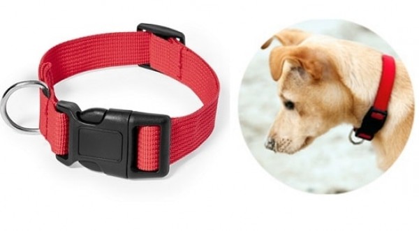 Hundehalsband mit Logo bedruckt ab geringe Stückzahlen