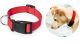 Hundehalsband mit Logo bedruckt ab geringe Stückzahlen