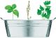 Zink-Pflanzkübel Mix Seeds als Werbemittel